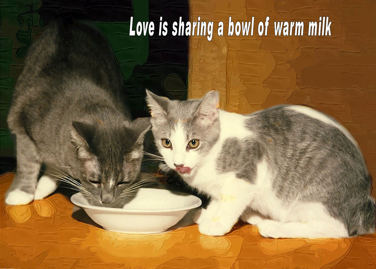 Cats eating from bowl painted 1